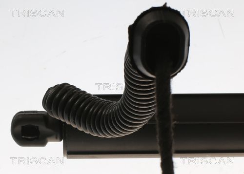 TRISCAN 8710 11305 Elektrische Gasfeder für Bmw F25