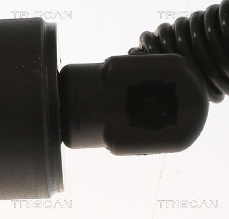 TRISCAN 8710 11360 Elektrische Gasfeder für X1 F48 2016-2017 Lh/Rh