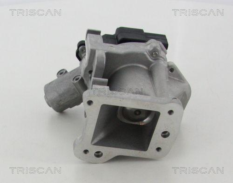 TRISCAN 8813 10007 Agr Ventil für Ford/Volvo/Mazda