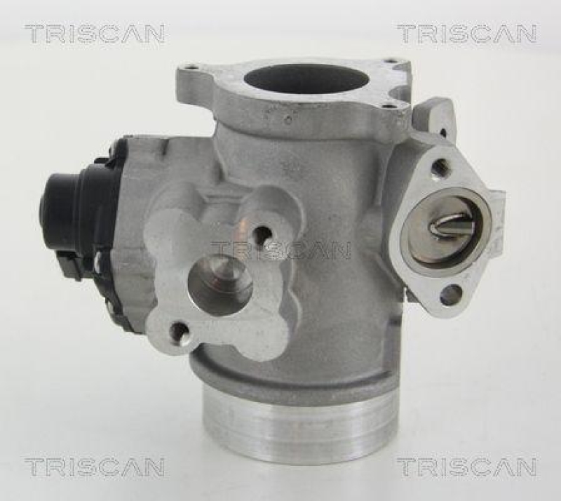 TRISCAN 8813 10012 Agr Ventil für Nissan/Renault/Opel