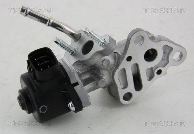 TRISCAN 8813 13025 Agr Ventil für Toyota