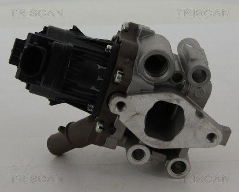 TRISCAN 8813 15208 Agr Ventil für Fiat