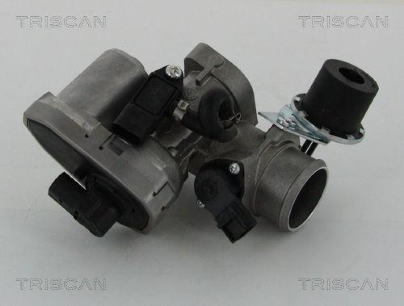 TRISCAN 8813 16202 Agr Ventil für Ford