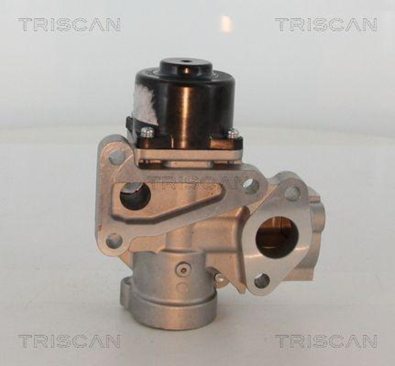 TRISCAN 8813 16203 Agr Ventil für Ford