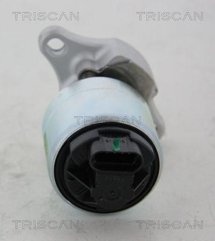 TRISCAN 8813 21001 Agr Ventil für Chevrolet(Gm)