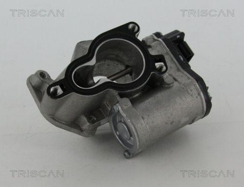 TRISCAN 8813 25203 Agr Ventil für Fiat