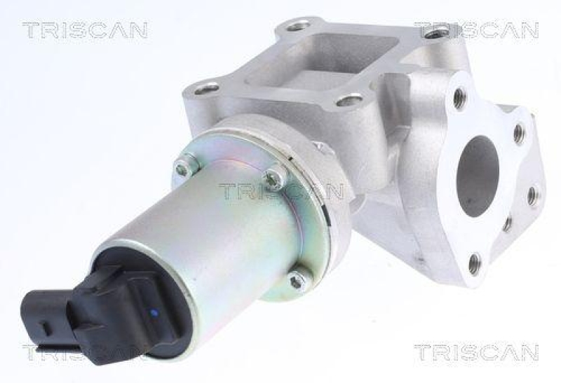 TRISCAN 8813 43015 Agr Ventil für Hyundai/Kia