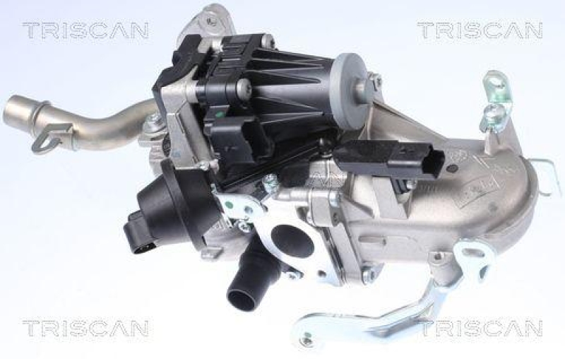 TRISCAN 8813 10106 Agr Ventil für Psa, Volvo, Ford