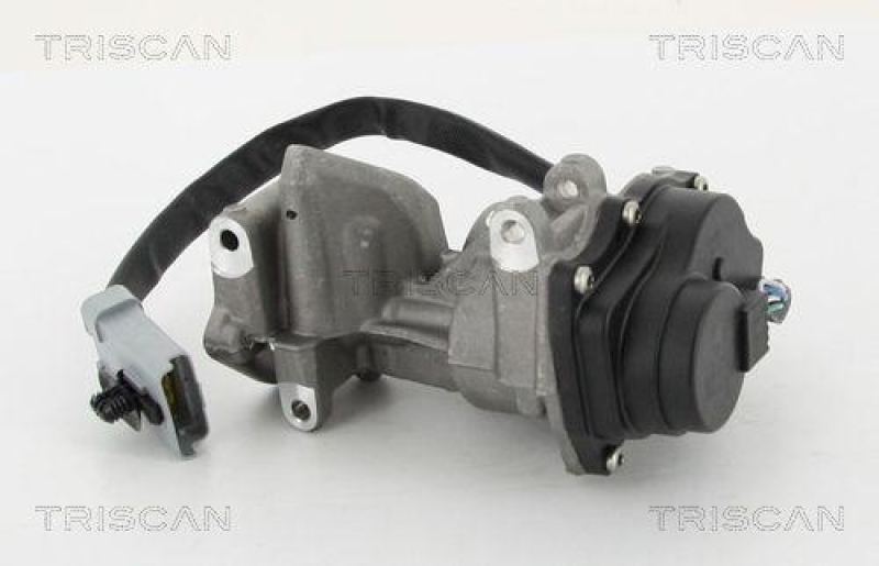 TRISCAN 8813 10202 Agr Ventil für Landrover Ford