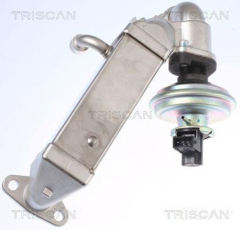 TRISCAN 8813 11009 Agr Ventil für Bmw