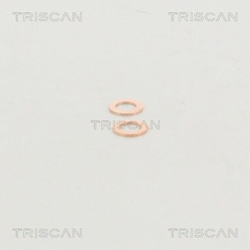 TRISCAN 8150 29132 Bremsschlauch für Vw Golf V,Touran,Seat