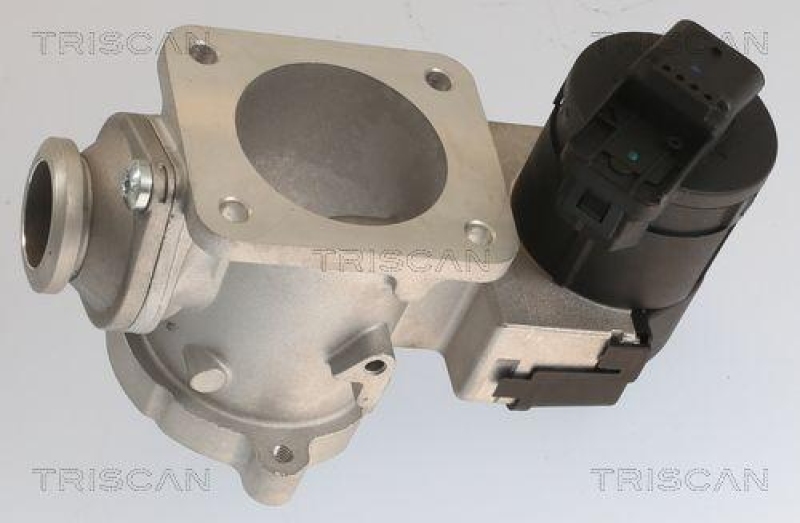 TRISCAN 8813 11020 Agr Ventil für Bmw