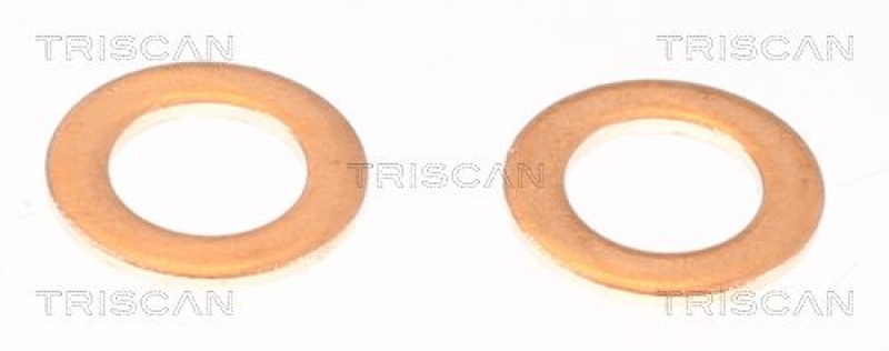 TRISCAN 8150 292026 Bremsschlauch Hinten für Audi, Volkswagen, Seat