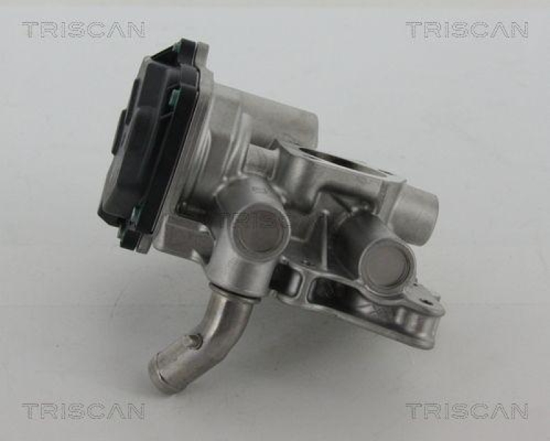 TRISCAN 8813 15205 Agr Ventil für Fiat