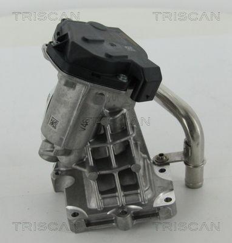 TRISCAN 8813 15206 Agr Ventil für Fiat