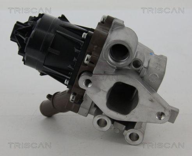 TRISCAN 8813 15207 Agr Ventil für Fiat