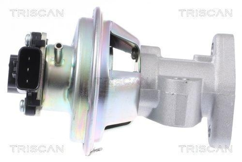 TRISCAN 8813 16069 Agr Ventil für Ford/Landrover