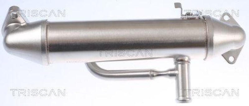 TRISCAN 8813 16108 Kühler, Abgasrückführung für Ford Mondeo, Transit