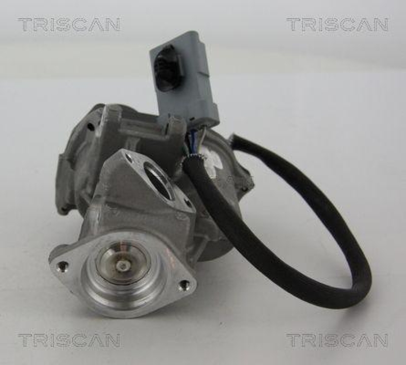 TRISCAN 8813 17019 Agr Ventil für Ford/Landrover