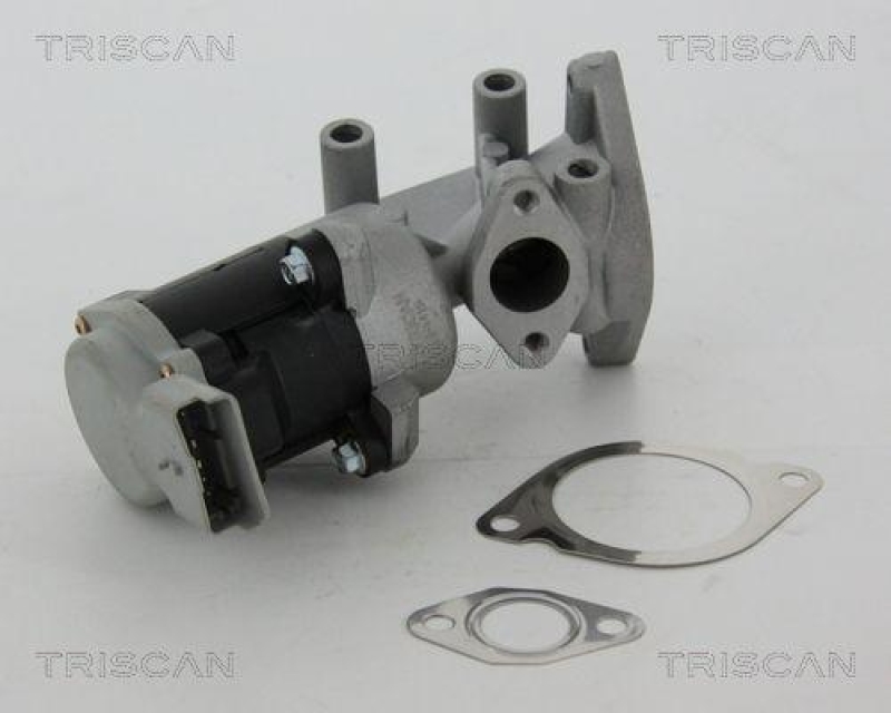 TRISCAN 8813 17020 Agr Ventil für Ford/Landrover