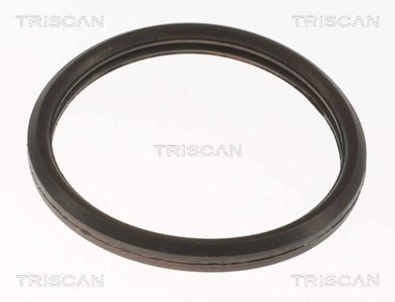 TRISCAN 8620 10582 Thermostat für Ford (1)