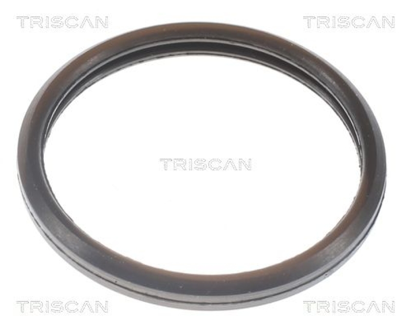 TRISCAN 8620 10592 Thermostat für Ford (1)