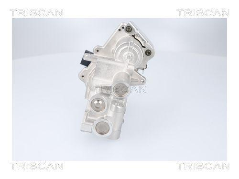 TRISCAN 8813 23041 Agr Ventil für Mercedes