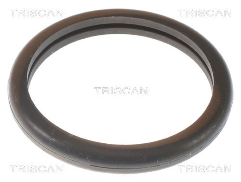 TRISCAN 8620 10691 Thermostat für Ford, Renault (1)