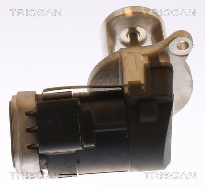 TRISCAN 8813 23101 Agr Ventil für Mercedes