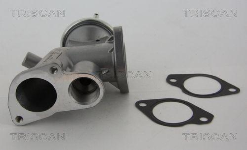 TRISCAN 8813 24031 Agr Ventil für Opel/Saab