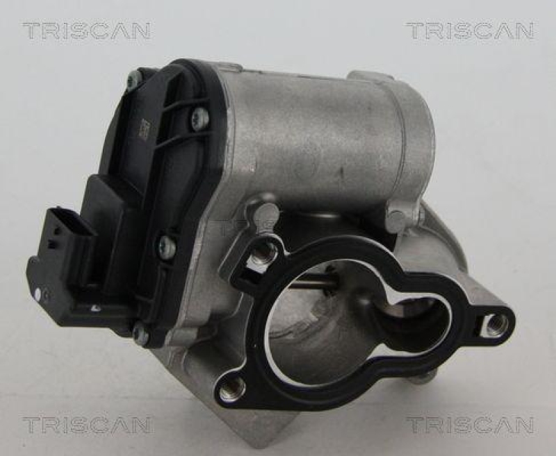 TRISCAN 8813 24039 Agr Ventil für Opel/Nissan