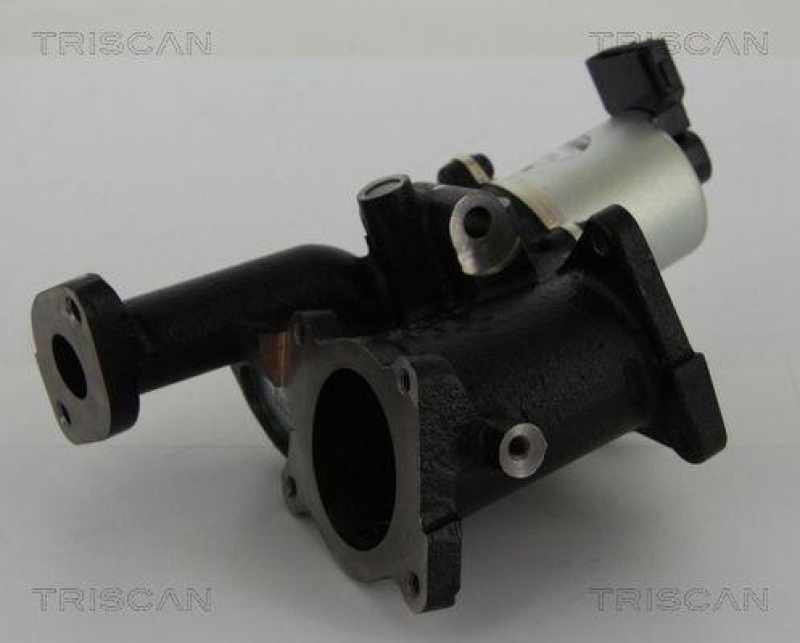 TRISCAN 8813 24101 Agr Ventil für Opel