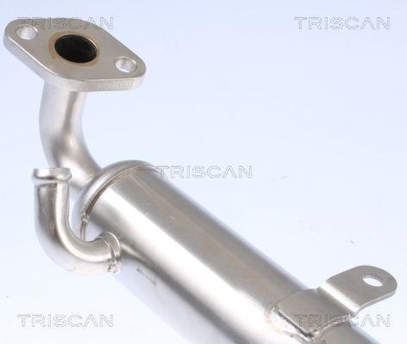 TRISCAN 8813 24106 Kühler, Abgasrückführung für Opel Astra,Combo,Meriva