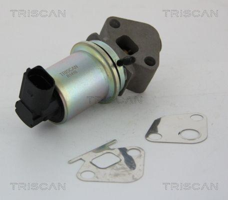 TRISCAN 8813 25011 Agr Ventil für Renault/Dacia