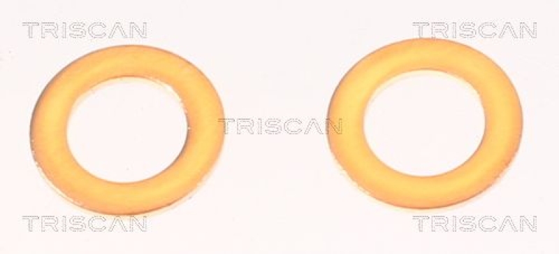 TRISCAN 8150 42287 Bremsschlauch Hinten für Mitsubishi