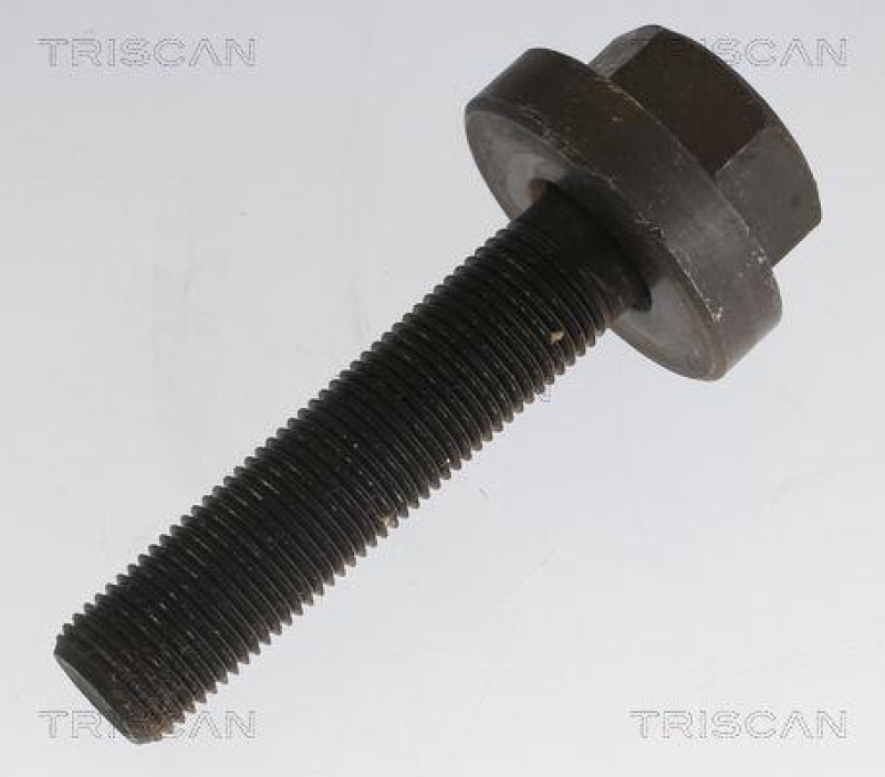 TRISCAN 8540 295060 Antriebswelle für Vag