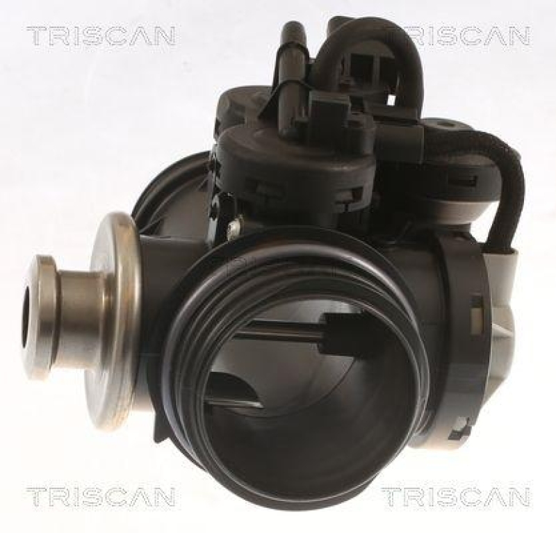 TRISCAN 8813 28045 Agr Ventil für Peugeot 206 1.9D