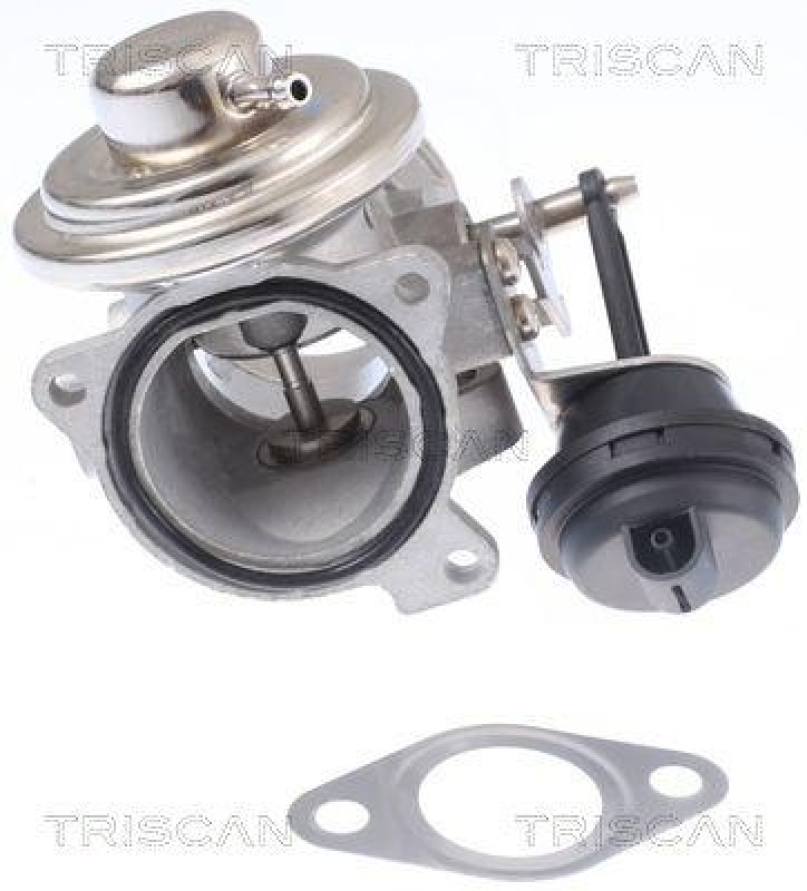 TRISCAN 8813 29308 Agr Ventil für Vw Beetle