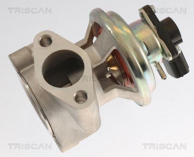 TRISCAN 8813 42003 Agr Ventil für Mitsubishi