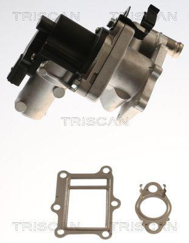 TRISCAN 8813 43017 Agr Ventil für Hyundai, Kia