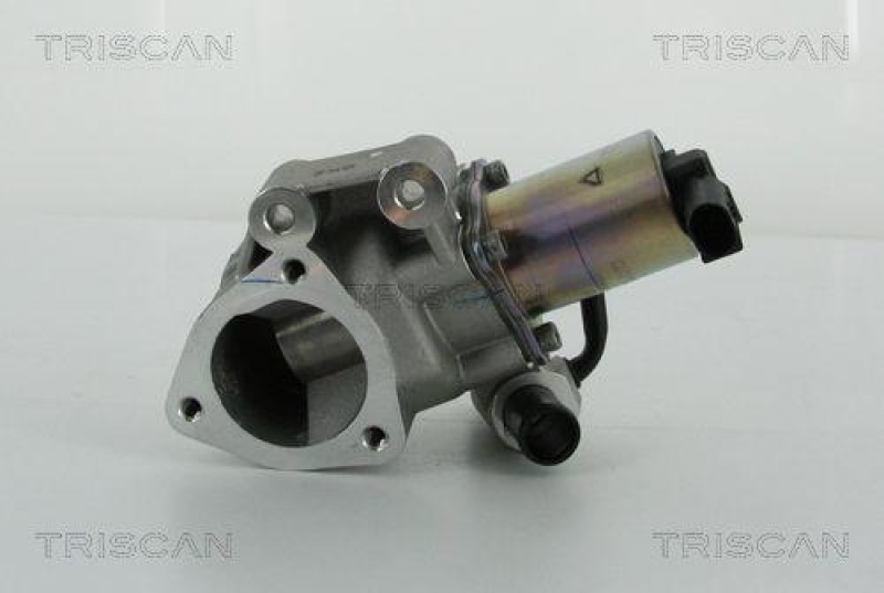 TRISCAN 8813 43020 Agr Ventil für Hyundai/Kia