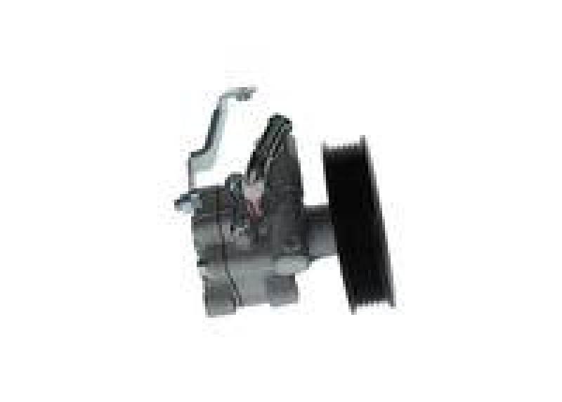 Bosch K S00 910 005 Flügelpumpe