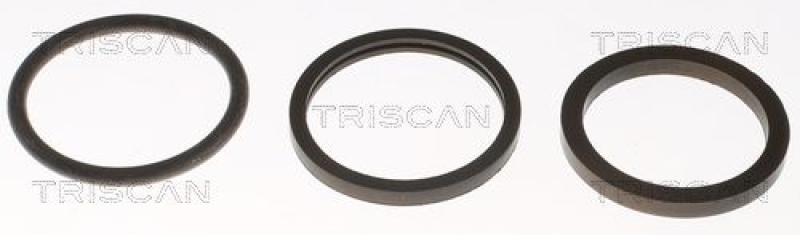 TRISCAN 8620 3982 Thermostat für Vag, Opel (3)