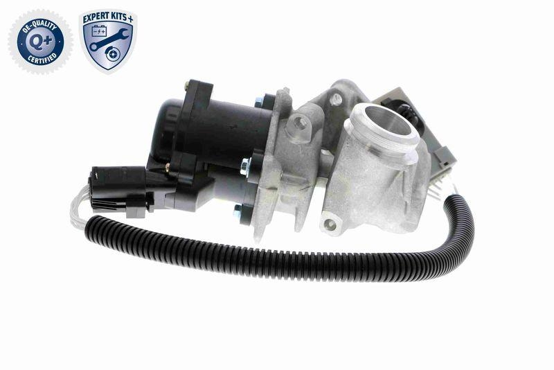 VEMO V25-63-0009 AGR-Ventil mit Dichtung für FORD