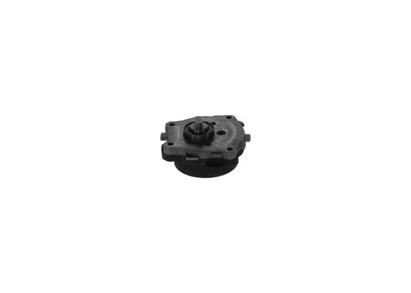 Bosch 0 440 050 007 Zahnradpumpe