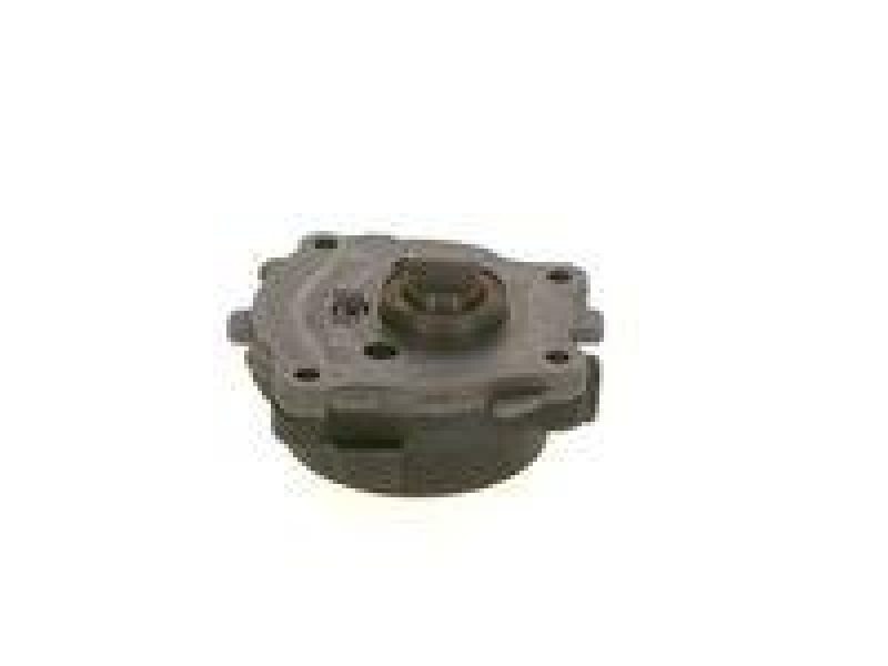 Bosch 0 440 050 010 Zahnradpumpe