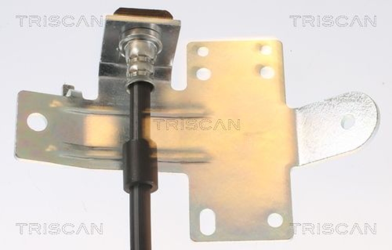 TRISCAN 8150 162012 Bremsschlauch Vorne für Ford