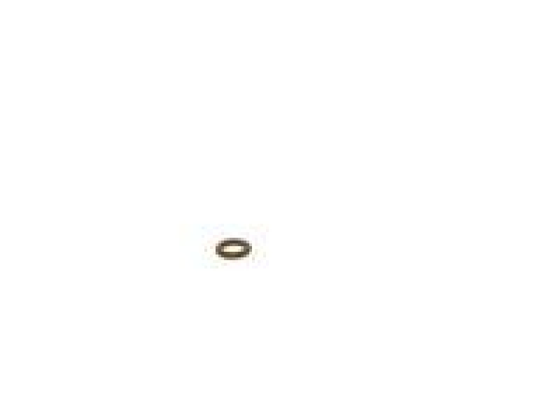 Bosch 1 928 301 304 O-Ring