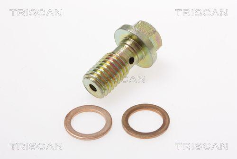 TRISCAN 8150 16307 Bremsschlauch für Ford