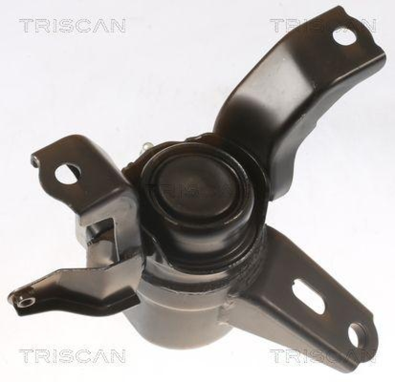 TRISCAN 8505 13101 Motoraufhängung für Toyota